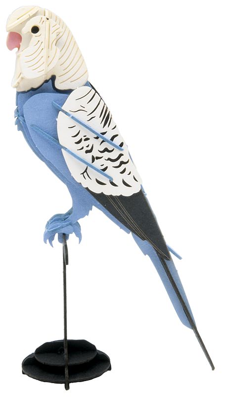 3D Modell Wellensittich, Bausatz aus Spezialkarton, gelasert